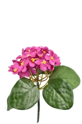 Kytička fialek 21,5 cm, tmavě růžová