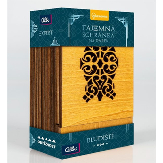 Tajemná schránka expert - Bludiště