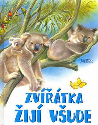 Zvířátka žijí všude Zvířátka žijí všude