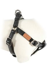 Postroj pes PICCADILLY nastavitelný černý 15mm Zolux