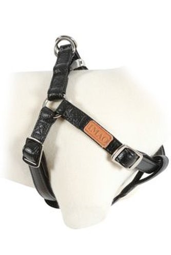 Postroj pes PICCADILLY nastavitelný černý 15mm Zolux