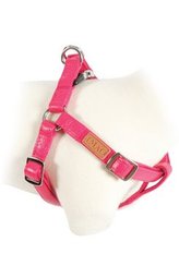 Postroj pes PICCADILLY nastavitelný červený 15mm Zolux