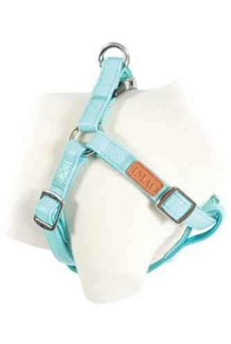 Postroj pes PICCADILLY nastavitelný tyrkys 25mm Zolux