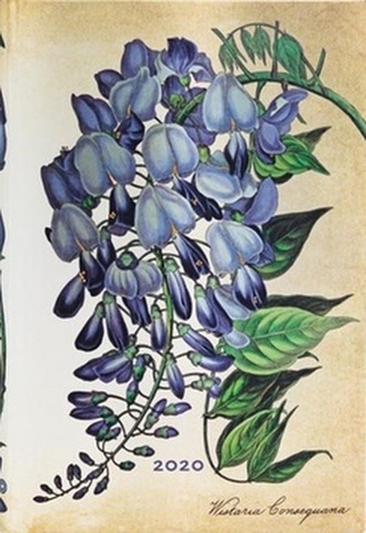 Diář Blooming Wisteria 2020 HOR