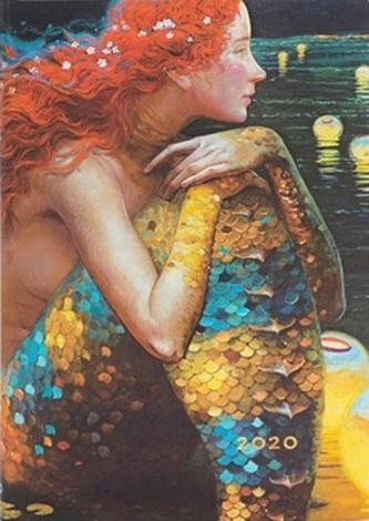 Diář Anticipation 2020 VSO