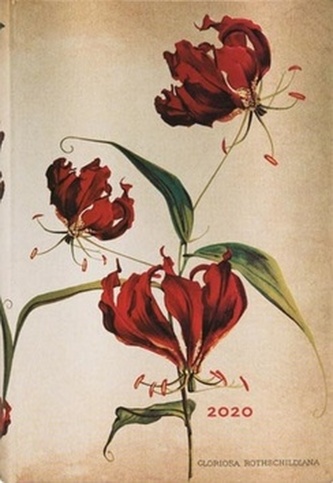 Diář Gloriosa Lily 2020 DAY