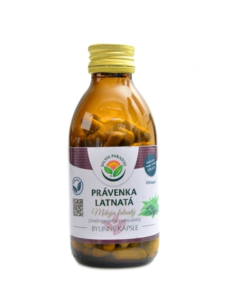 Salvia paradise - Právenka latnatá 120 kapslí Andrographis paniculata