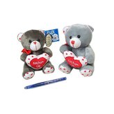 Medvídek 15 CM 4 barvy