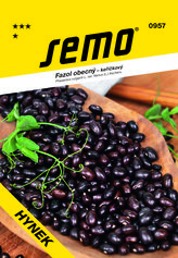Fazol keř. na suchá semena - Hynek 40g