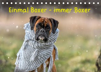 Einmal Boxer - immer Boxer (Tischkalender 2023 DIN A5 quer)
