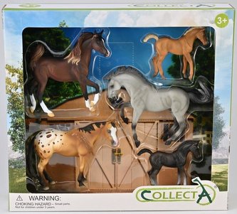 Zestaw 5 koni Zestaw 5 koni