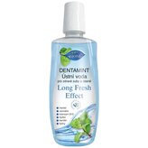 Dentamint ústní voda MENTOL LONG FRESH EFFECT 500 ml
