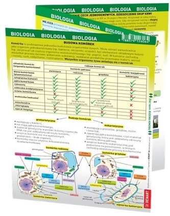 Maxi ściąga - Biologia Maxi ściąga - Biologia