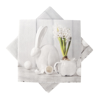 Servírovací ubrousky sněženky