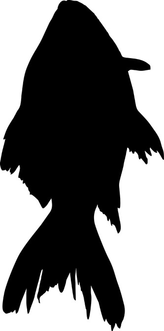 ARTEMISS Ryba - plastová šablona 421 Rozměr: B 14,5x14,5cm