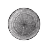 RAK Woodart talíř mělký coupe 24 cm – šedá | RAK-WDNNPR24BG