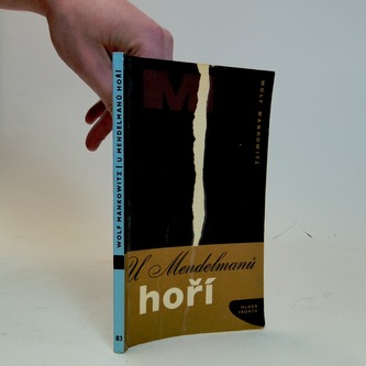 U Mendelmanů hoří