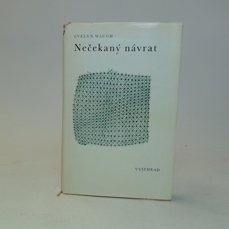Nečekaný návrat