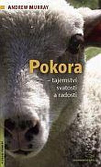 Pokora