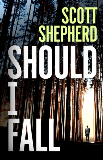 Should I Fall Should I Fall