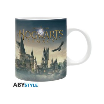 Harry Potter keramický hrnek 320 ml - Hogwarts Legacy Castle
