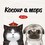 Kocour a mops Kocour a mops