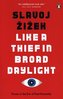 Like A Thief In Broad Daylight: Power in the Era of Post-Human Capitalism
