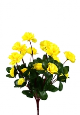 Azalka žlutá 33 cm