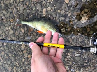 Přívlačové pruty Black Pearl GT-3 2-díl 240cm / 10g