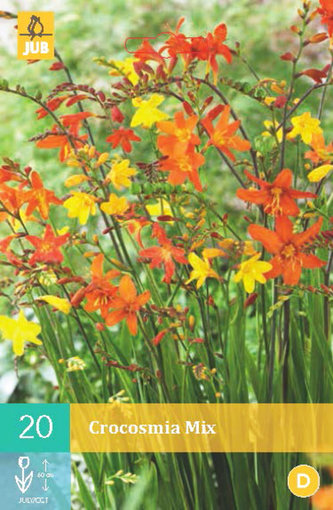 Karta - Montbrécie (Crocosmia) mix (20 cibulí) "B"