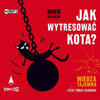 Jak wytresować kota? Wiedza tajemna