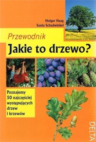 Jakie to drzewo? Poradnik