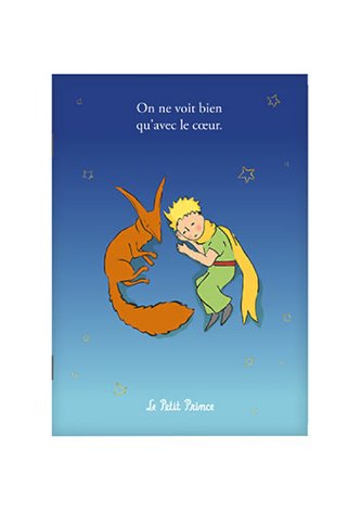 Sešit A6 CARA607G03 MALÝ PRINC KIUB