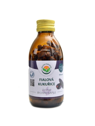 Salvia paradise - Fialová kukuřice Maiz morado 120 kapslí Zea mays