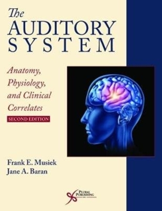The Auditory System The Auditory System