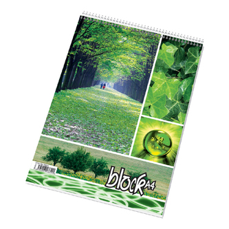 Blok A5 pozn. spirála v hlavě - čtyř čtverečkovaný / 50 listů