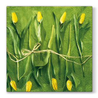 Ubrousky PAW L 33x33cm Fresh Tulips