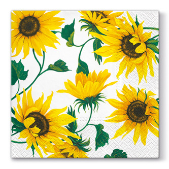 Ubrousky PAW L 33x33cm Last Scent of Summer