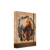 Box na zošity A5 Jumbo Horse Love