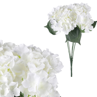 Hortenzie, puget 5 hlav, barva bílá.