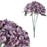 Hortenzie, puget 5 hlav, barva fialová.