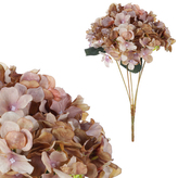 Hortenzie, puget 5 hlav, barva hnědá.