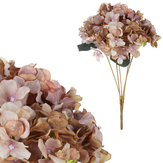 Hortenzie, puget 5 hlav, barva hnědá.