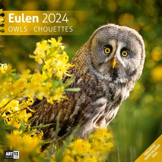 Eulen Kalender 2024 - 30x30