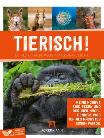 Tierisch! Sprüchekalender - Wochenplaner Kalender 2024