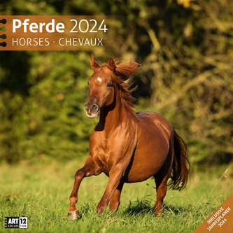 Pferde Kalender 2024 - 30x30