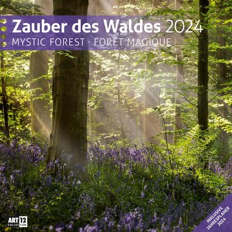 Zauber des Waldes Kalender 2024 - 30x30