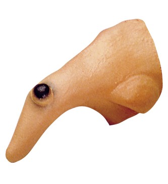 Nos čarodejnický