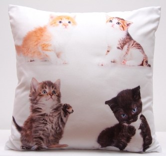 Polštář KOŤATA MyBestHome 40x40cm fototisk 3D motiv kočičky