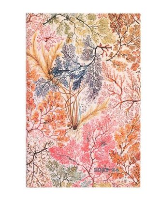 Kalendarz tygodniowy maxi 23/24 Anemone Kalendarz tygodniowy maxi 23/24 Anemone